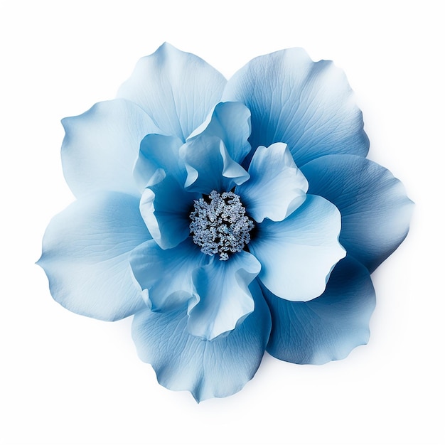 Schöne weiche blaue Blume