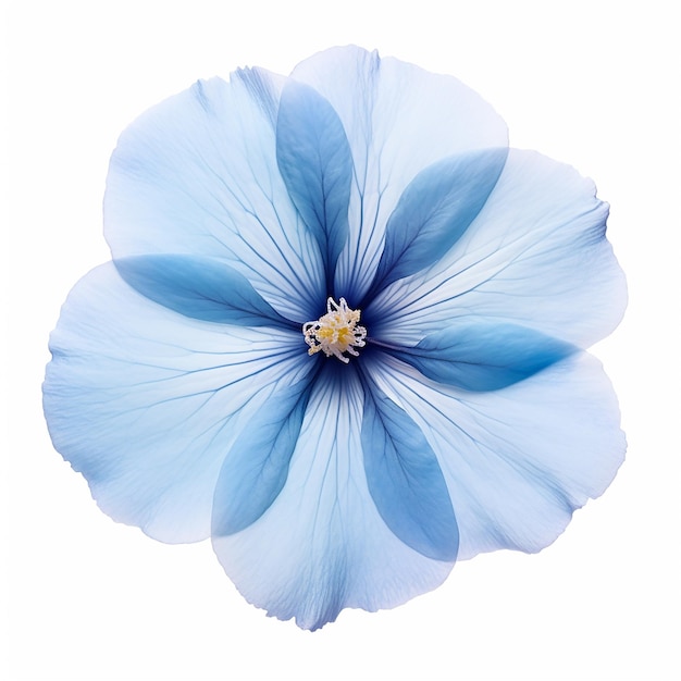 Schöne weiche blaue Blume