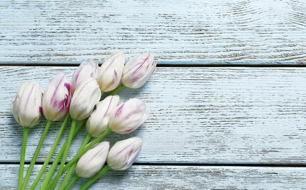 Schöne weiße Tulpen auf Holzhintergrund