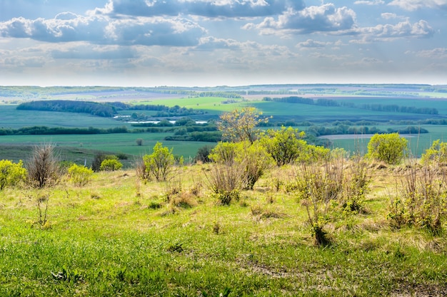 Schöne weitläufige Landschaft auf den Regenwolken, Wald, See, Feldern und Wiesen von der Spitze des Berges. Frisches Gras und Büsche im Vordergrund an einem sonnigen Tag. Einheit mit der Natur.