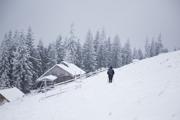 Schöne Winterberglandschaft. Hütte in den Bergen im Winter. Winterlandschaft mit frischem Schnee in einem Gebirgswald.