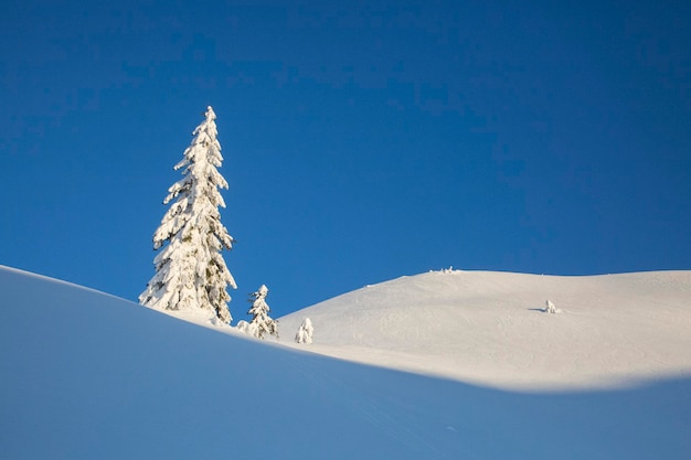 Schöne Winterberglandschaft in Norwegen