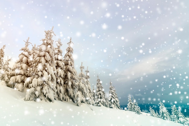 Schöne winterberglandschaft