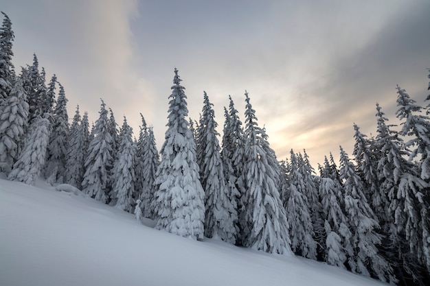 Schöne Winterberglandschaft.