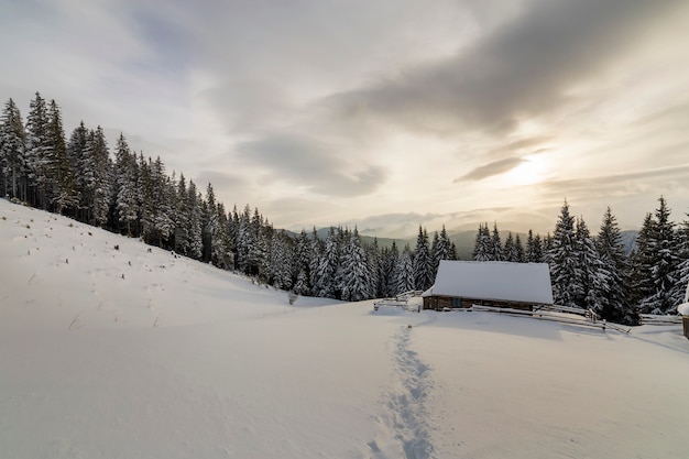 Schöne winterlandschaft. hölzerne schäferhütte auf gebirgsschneebedeckter reinigung unter kiefern auf bewölktem himmel