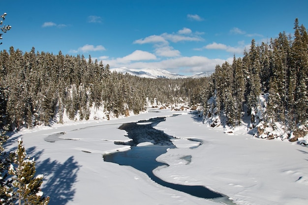 Schöne Winterlandschaft im Yellowstone Nationalpark