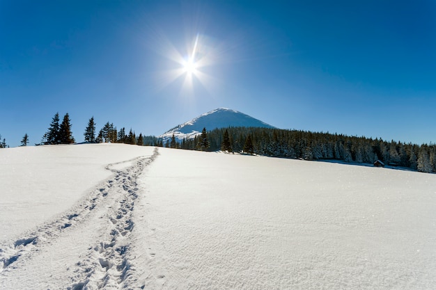 Schöne Winterlandschaft in den Bergen