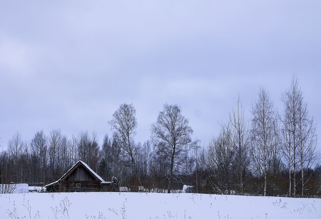 Schöne Winterlandschaft mit Bäumen im Schnee in der Landschaft