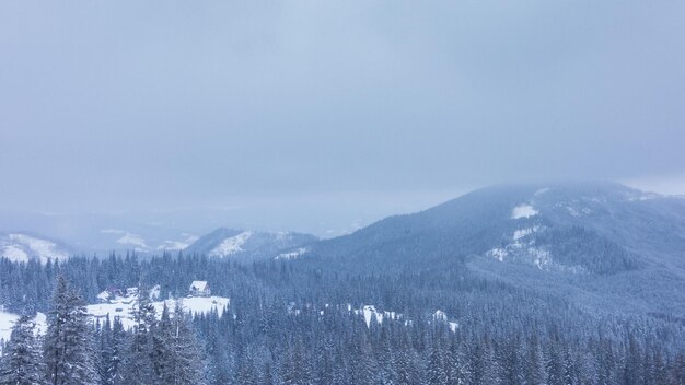 Schöne Winterlandschaft mit schneebedeckten Bäumen Winterberge