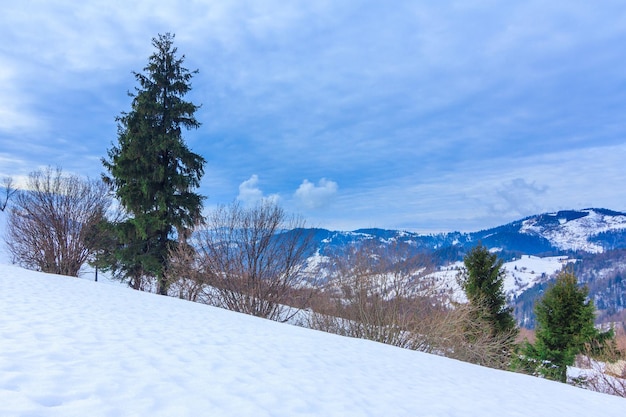 Schöne Winterlandschaft mit schneebedeckten Bäumen Winterberge