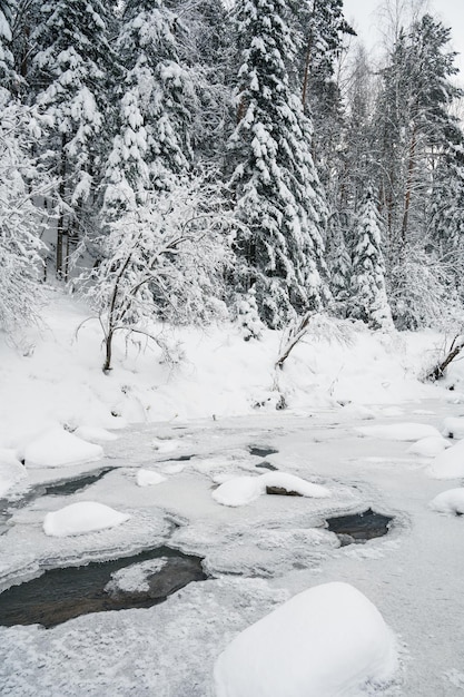 Schöne Winterlandschaft mit schönen Bäumen und Fluss unter dem Schnee