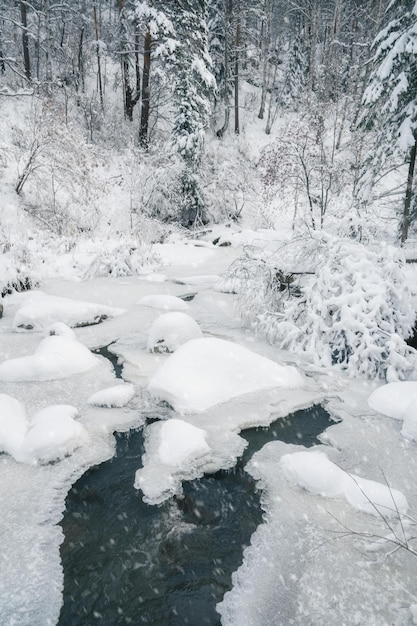 Schöne Winterlandschaft mit schönen Bäumen unter dem Schnee