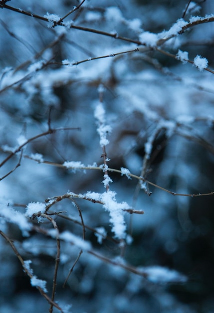 Schöne Winterlandschaft Natürliche Schöne Landschaft