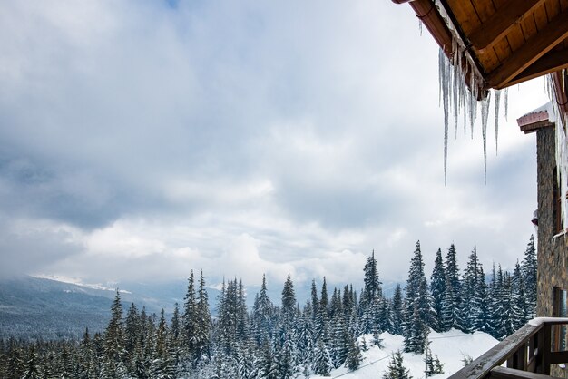 Schöne Winterlandschaft von hohen Tannen und Bergen schoss von der Veranda eines Chalets