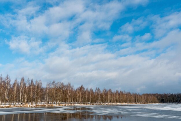 Schöne Winterlandschaft Wald am Seeufer an einem sonnigen frostigen Tag Panorama der Küste mit Schnee und Birkenhain bedeckt Eis auf dem Fluss und die Reflexion der Wolken im Wasser