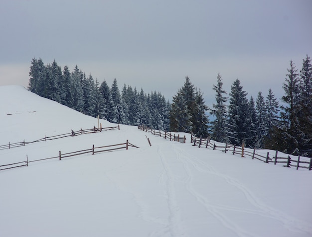 Schöne Winterlandschaft