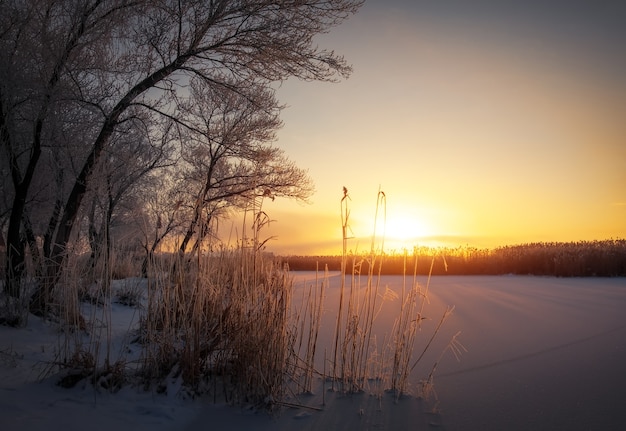 Schöne Winterlandschaft