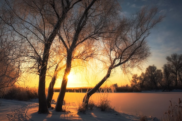 Foto schöne winterlandschaft