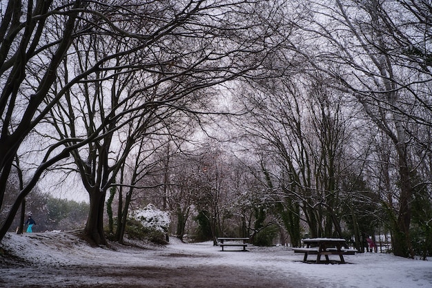 Schöne Winterlandschaft.