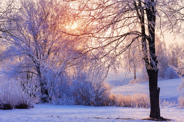 Foto schöne wintermorgenlandschaft
