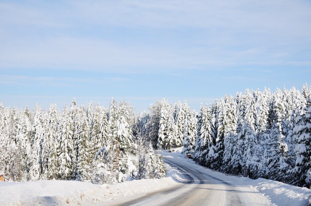 Schöne Winterszene