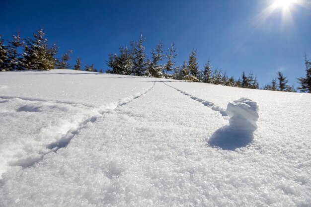 Schöne Winterweihnachtslandschaft. Steile Gebirgshügelsteigung mit menschlichem Bahnweg im tiefen Kristallschnee und in den grünen gezierten Bäumen, weißer heller Sonnenschein, der auf klarem blauem Himmel scheint