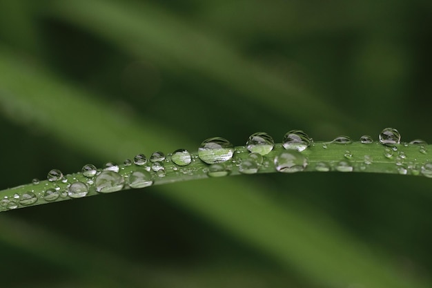 Schöne Wolke des blauen Himmels des Naturhintergrundes