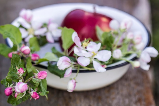 Schöne zarte Apfelblüten und eine rote Frucht liegen in einer Emailschale auf einem alten Holztisch