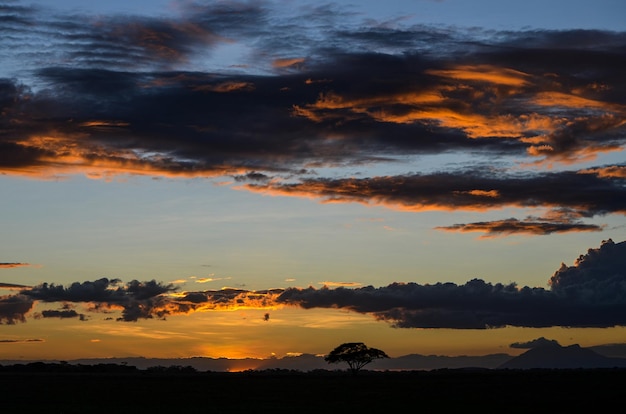 Schöner Afrika-Safari-Sonnenuntergang Amboseli Nationalpark Kenia