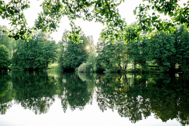 Schöner Angelsee bei Sonnenaufgang mit Bäumen