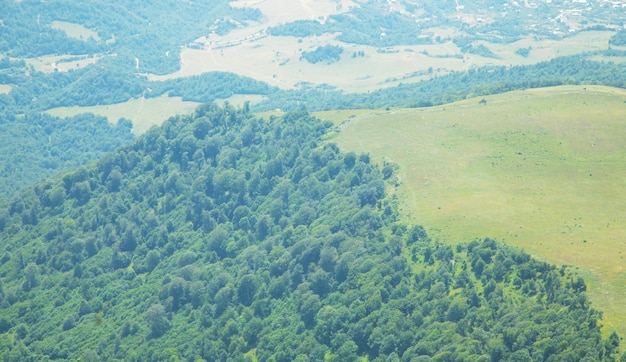 Schöner Aussichtswald in einem Land Armenien