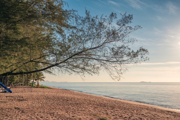 Schöner Baum mit Holzschaukel am Strand im tropischen Meer am Morgen