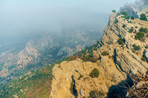 Schöner Berg mit Wäldern im Morgennebelhintergrund