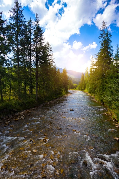 Schöner Bergfluss