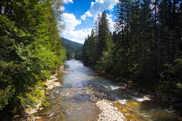 Schöner Bergfluss