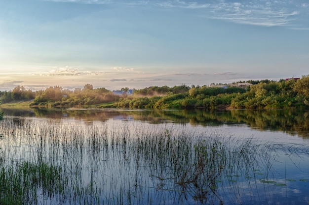 Schöner bewachsener Fluss mit Schilf und Seerosen Malerische Landschaft am ruhigen Fluss