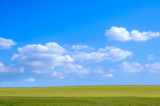 Schöner blauer Himmel und ein grünes Feld