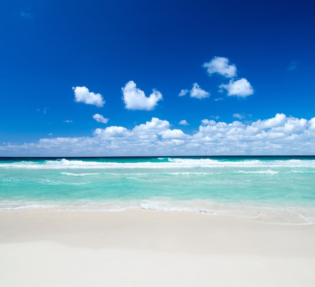 Schöner blauer karibischer Meeresstrand