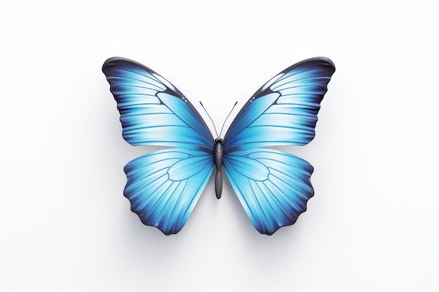 Schöner blauer Schmetterling auf weißem Hintergrund