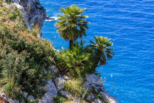 Foto schöner blick auf das meer gegen den blauen himmel