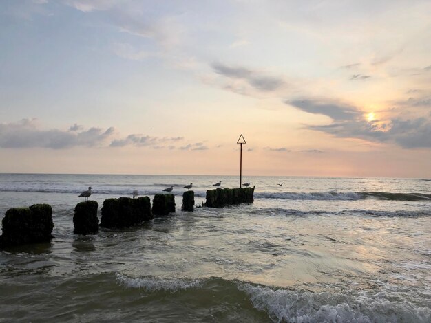 Foto schöner blick auf das meer gegen den himmel beim sonnenuntergang