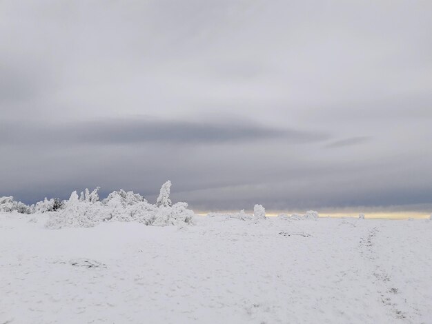 Foto schöner blick auf das meer gegen den himmel im winter