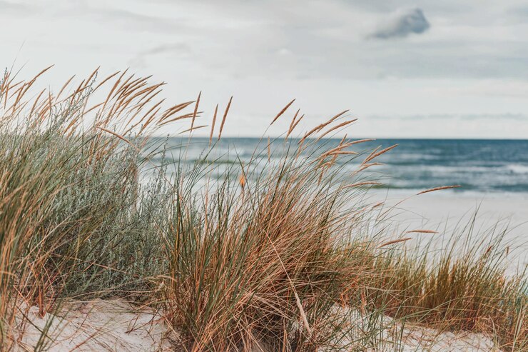 Foto schöner blick auf das meer gegen den himmel