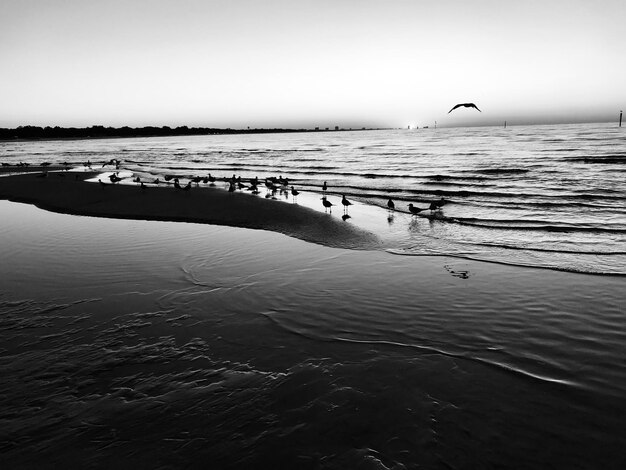 Foto schöner blick auf das meer gegen den himmel