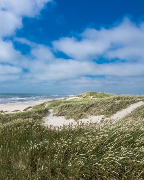 Foto schöner blick auf das meer gegen den himmel