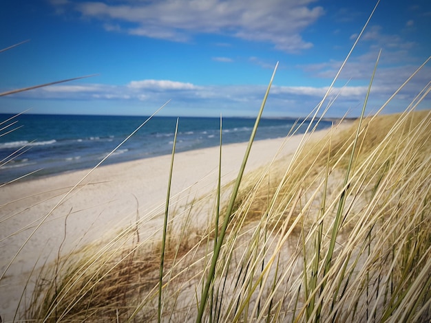 Foto schöner blick auf das meer gegen den himmel