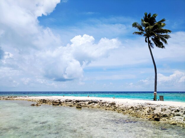 Foto schöner blick auf das meer gegen den himmel