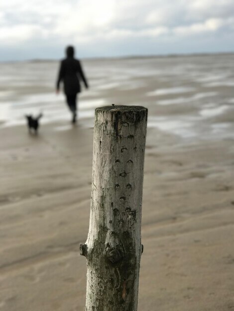 Foto schöner blick auf das meer gegen den himmel