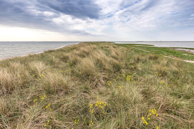 Foto schöner blick auf das meer gegen den himmel