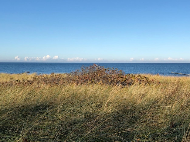 Foto schöner blick auf das meer gegen den himmel